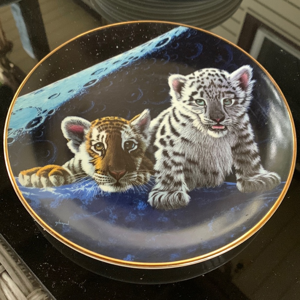 Franklin mint  royal doulton plate